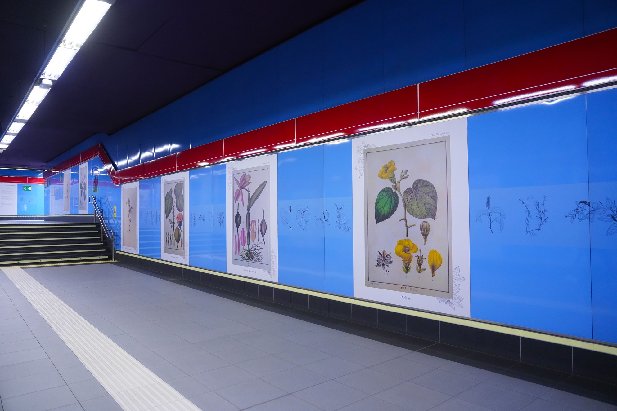 EXPO CULTURAL 29 ENE MORÁN VALVERDE_9